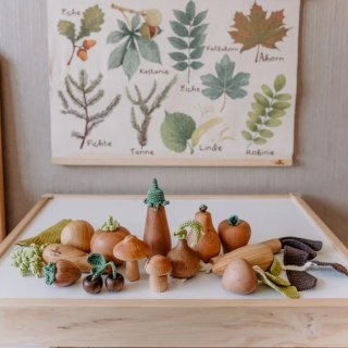 Gemse-Foot Set 1 (Aubergine, Zwiebel, Radieschen, Karotte und Tomate)