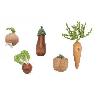 Gemse-Foot Set 1 (Aubergine, Zwiebel, Radieschen, Karotte und Tomate)