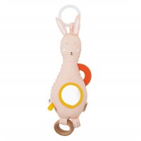 Activity Toy Mrs. Rabbit