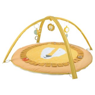 Activity Play Mat Mr. Lion
