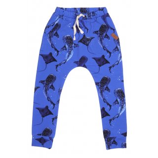 Walkiddy Whales/ Eagle Rays Baggy Pants