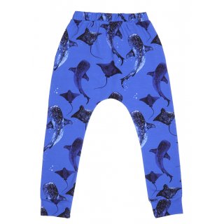 Walkiddy Whales/ Eagle Rays Baggy Pants