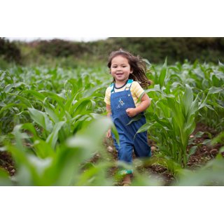 Frugi Latzhose Sonny Reversible Dungaree Camper Nice Daisy Bee 3-4J