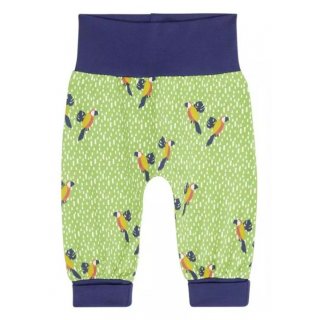 Sense Organics Baby Pants AOP Parrot Green