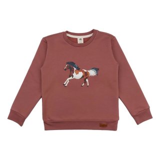 Walkiddy Langarm Sweater Joyful Horses/Rot 104