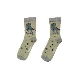 Walkiddy Dinosaurland Socks
