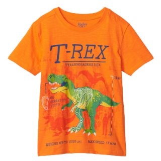 Hatley Boy T-Shirt Glow in the Dark T-Rex/ Orange