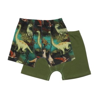 Walkiddy Boxershort 2-Pack Dinosaur Jungle 128