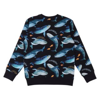 Walkiddy Pullover Humpback Whales