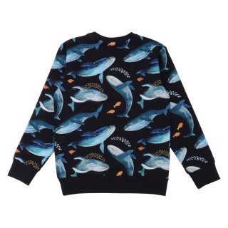 Walkiddy Pullover Humpback Whales 122