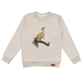 Walkiddy Pullover Dinosaur Jungle 104