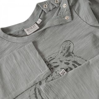 WHEAT T-Shirt Tiger Grau 3M