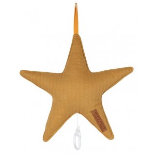 Spieluhr Stern Fb. pure ochre