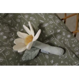 Rassel Blume