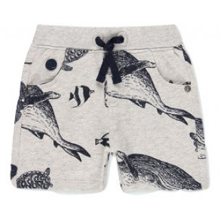 Boboli Shorts Hai grau 9M