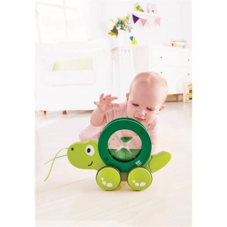 Nachziehschildkrte Tito